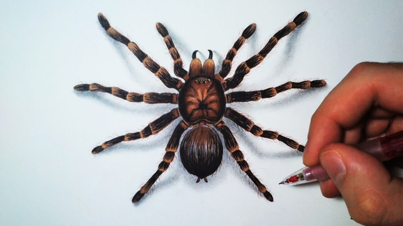 Comment dessiner une araignée [Tutoriel]