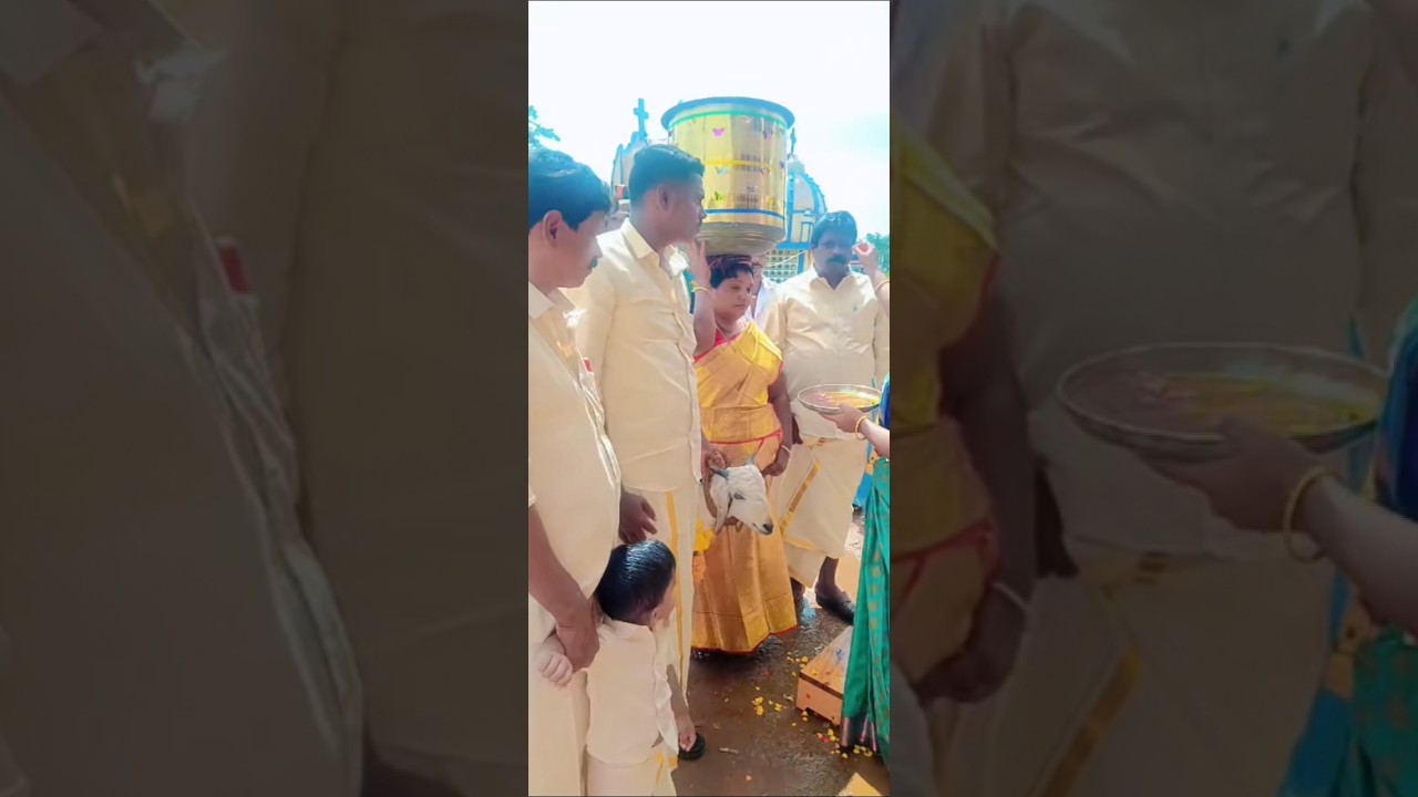 Thai mama seer sumanthu varandi❤️✨