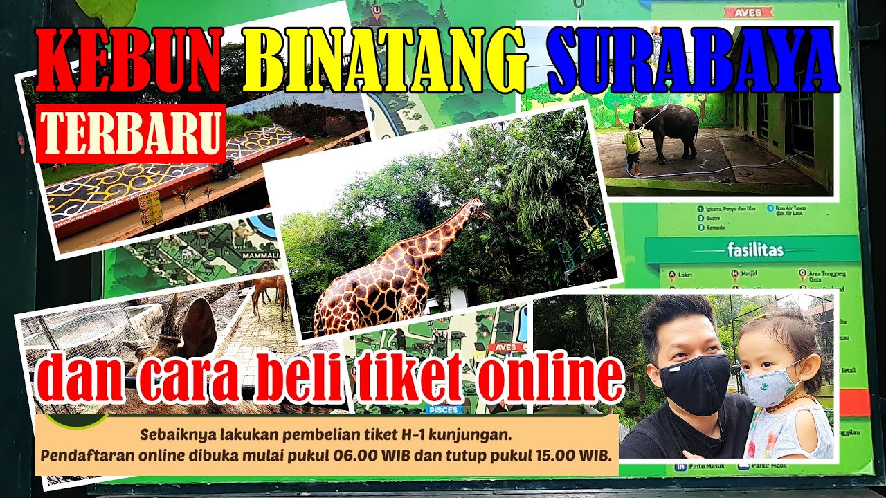KEBUN BINATANG SURABAYA 2021 (KBS) TERBARU | CARA BELI TIKET ONLINE