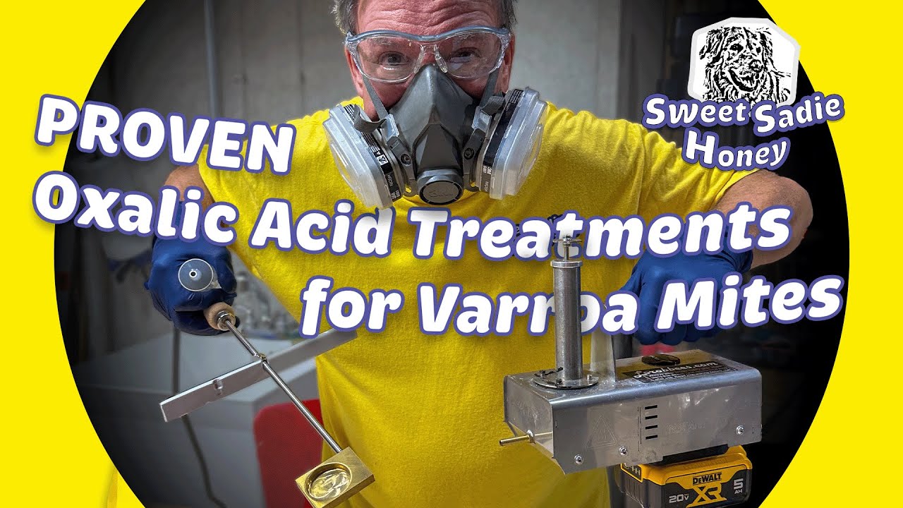 Proven Oxalic Acid Treatments for Varroa Mites