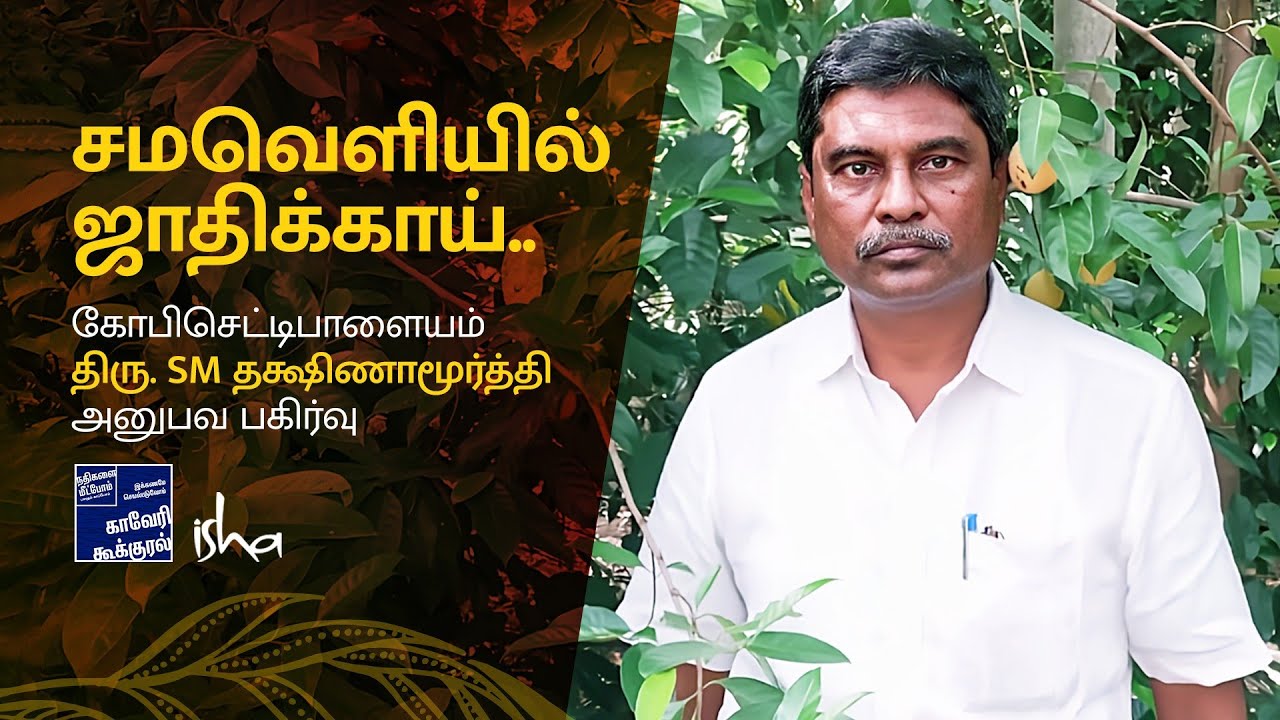 கோபிசெட்டிபாளையத்தில் ஜாதிக்காய்!