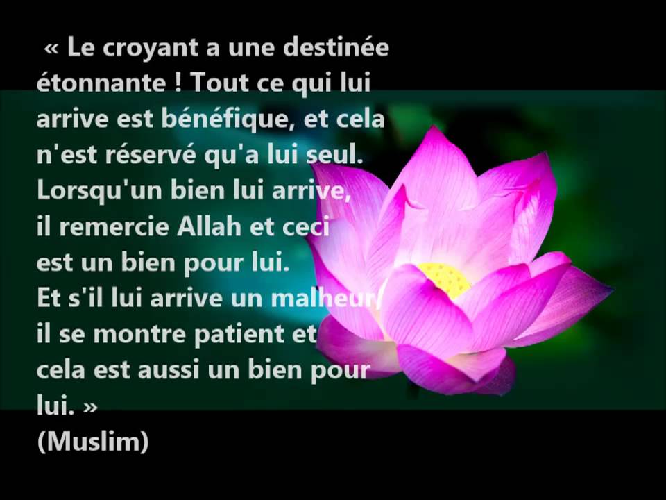 la patience face &agrave; l'&eacute;preuve