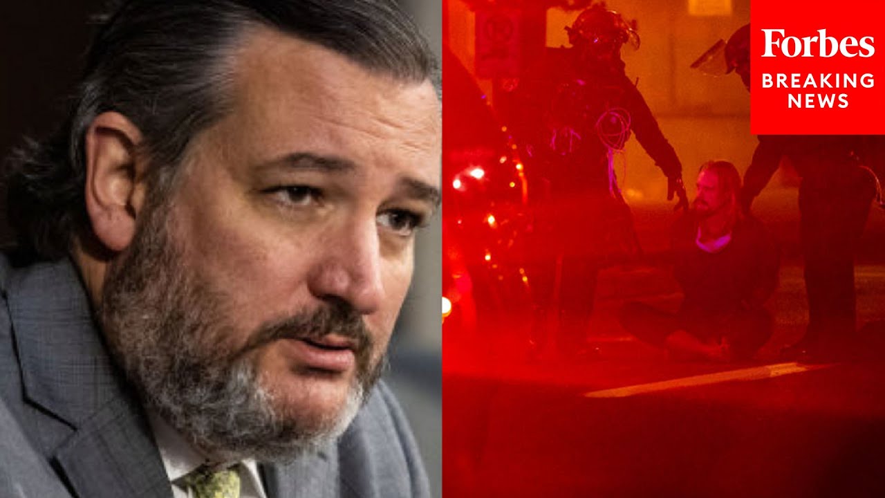 Ted Cruz questions FBI Director on 'leftist extremists'