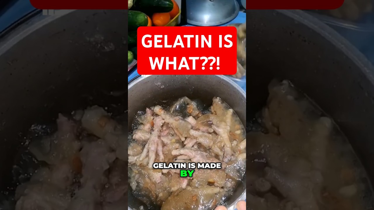 Wait... Gelatin Is Made From WHAT?!  #shorts