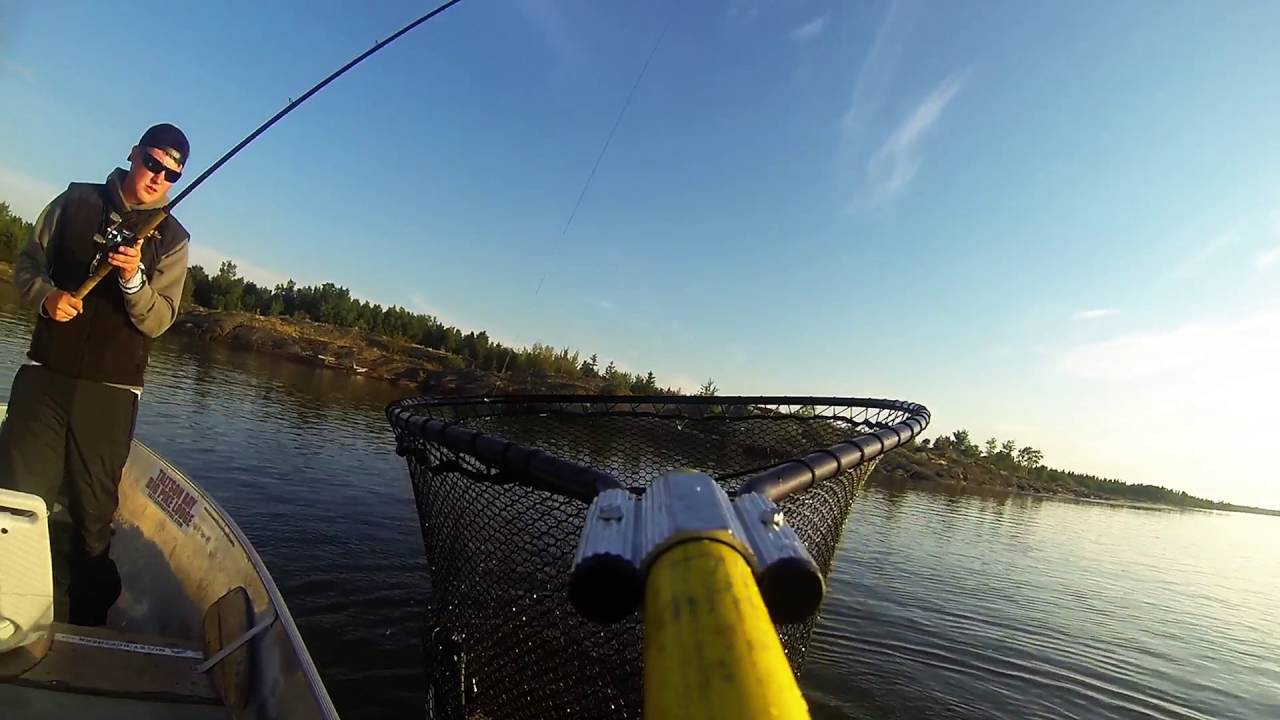 Northernpike Fishing 101 Dip netting