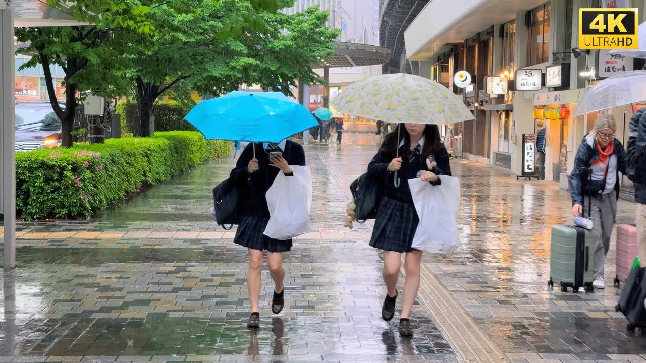 【4K HDR】 8 Hours Rainday Walk in Ginza (銀座) Tokyo Japan | Rain sounds for sleep | Rain on Umbrella