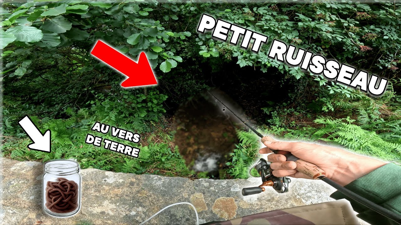 PÊCHER UN POISSON DANS LE PIRE RUISSEAU DU MONDE  !!! (Pêche de la truite dans un petit ruisseau)