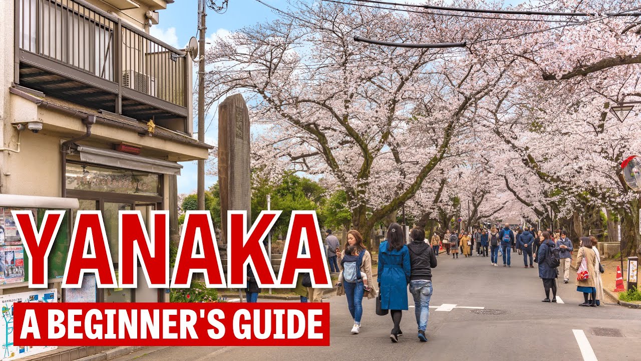 A Beginner's Guide to Yanaka