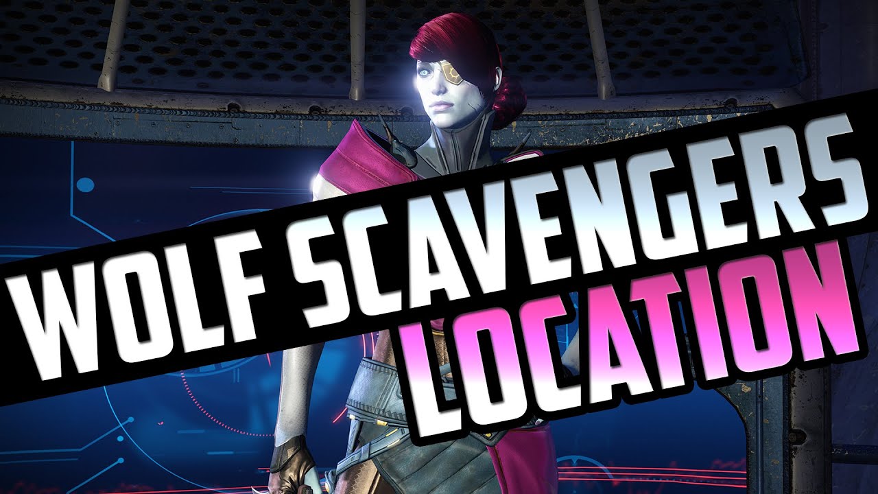 Destiny Wolf Scavengers Wanted Bounty Location / Guide FASTEST WAY!