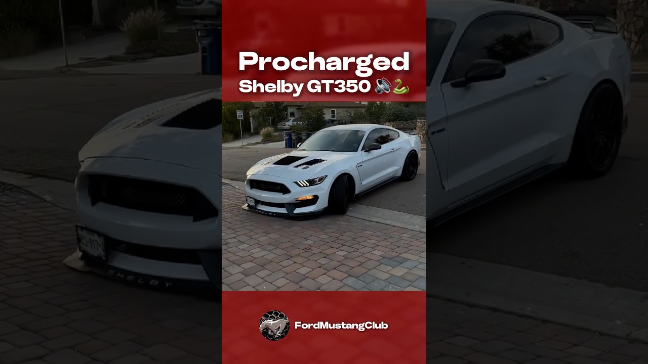 Procharged Shelby GT350 Exhaust! 🏎️