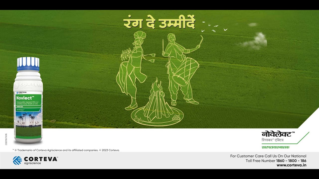 चावल में बेहतर रिटर्न और खरपतवार प्रबंधन द्वारा अपनी महत्वाकांक्षाओं को साकार करें