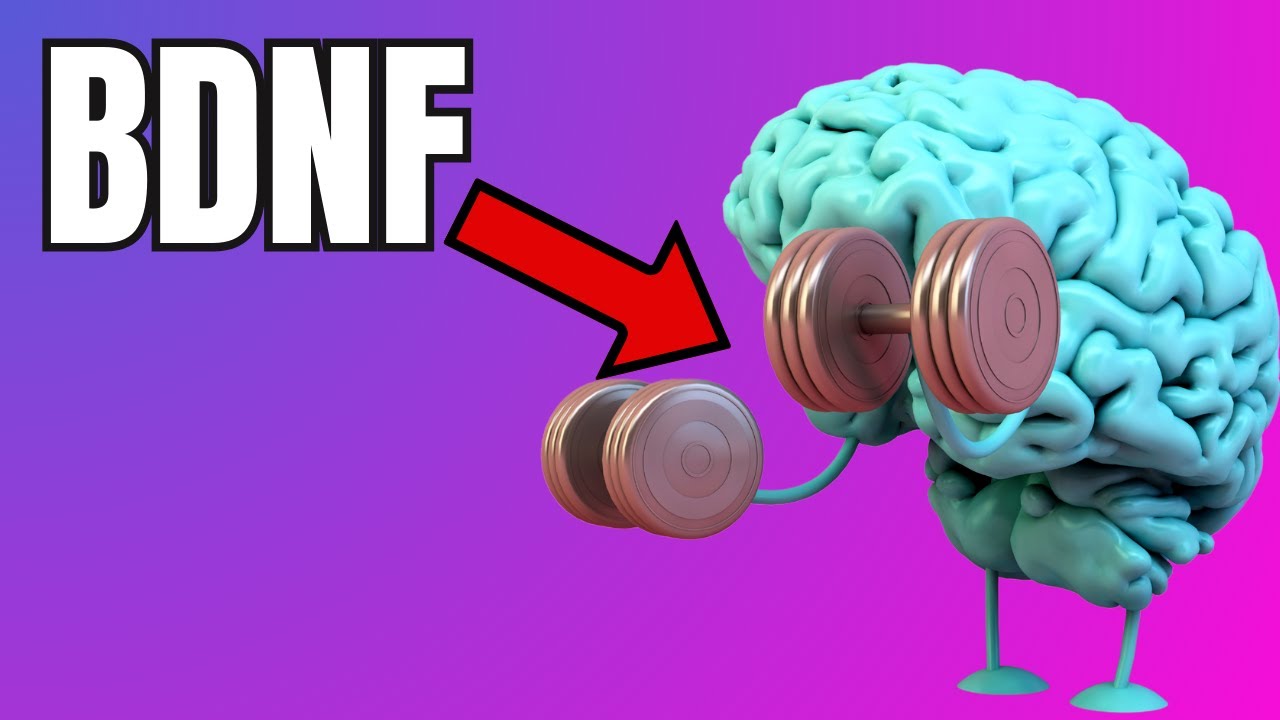 Migliorare la salute del Cervello grazie all'Allenamento