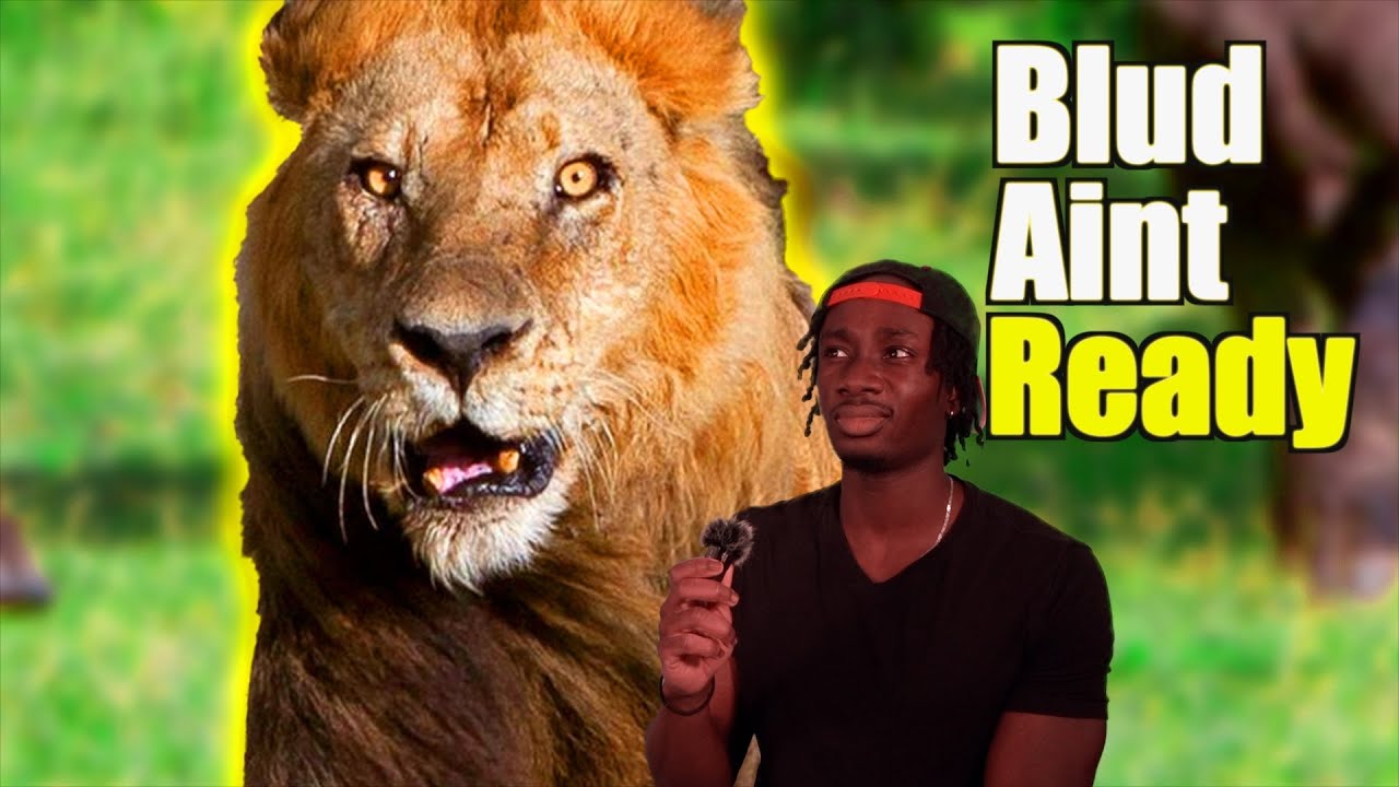 How to Survive the Impossibly Difficult Life of a Lion (ft. TierZoo)