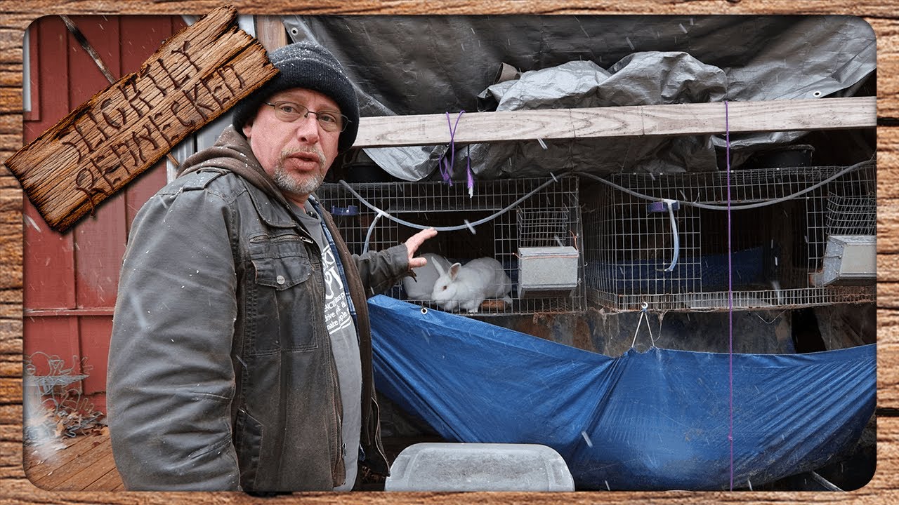 Breeding Rabbits In Winter