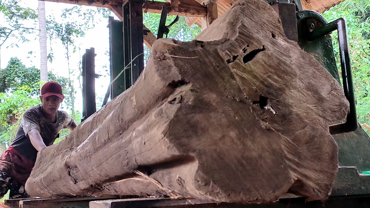 Amazingly advanced log working techniques ||sawmill 