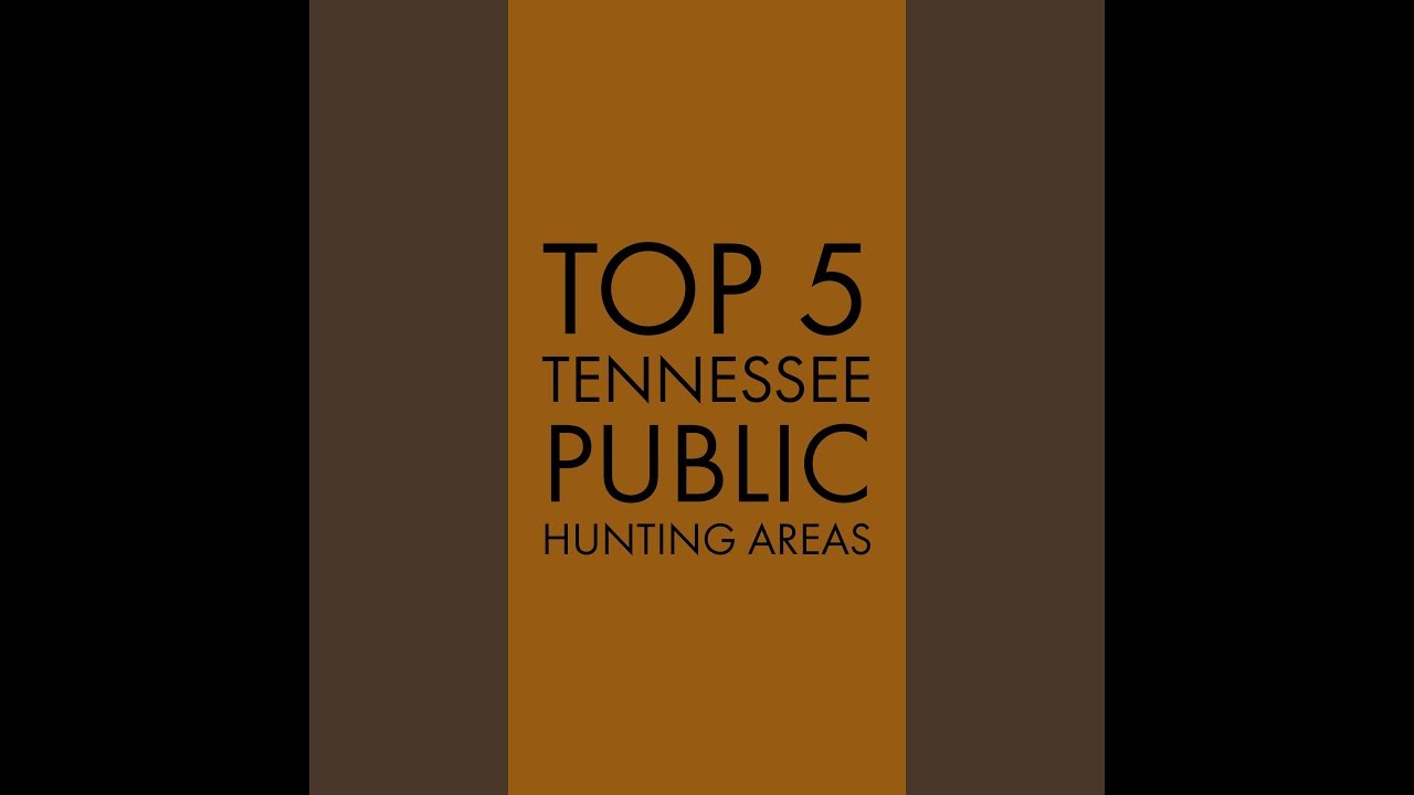 Top 5 Tennessee Public Hunting Areas