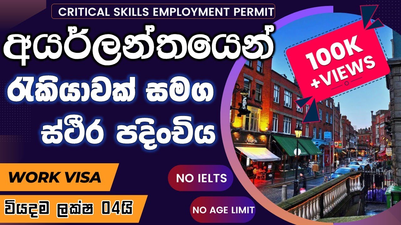 Ireland work visa without sponsorship| How to apply CSEP visa| Europe visa| Ireland PR| Teddyvlogs