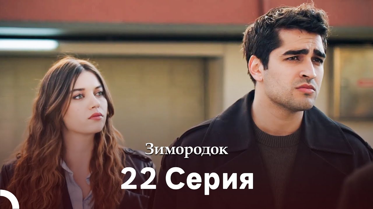 Зимородок 22 Cерия (Русский дубляж)(Длинная Cекция)