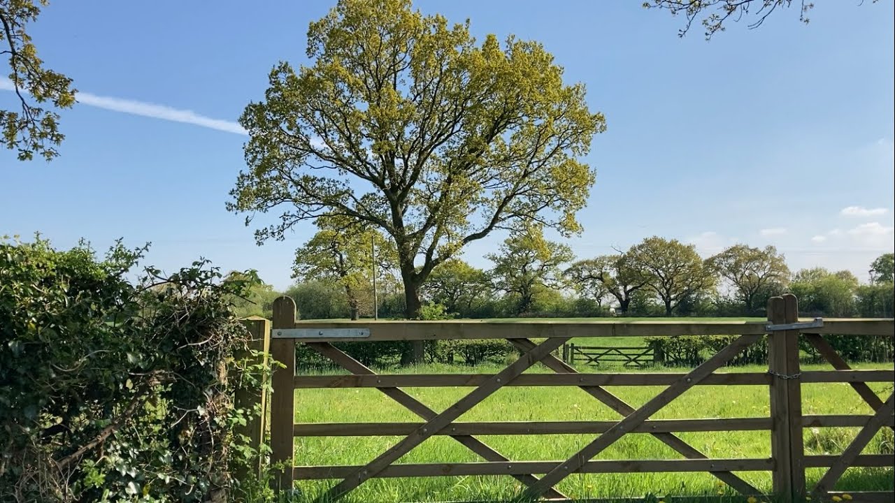 Walks in Wilmslow area #4. Handforth Dean circular. This walk won’t be here for much longer.,