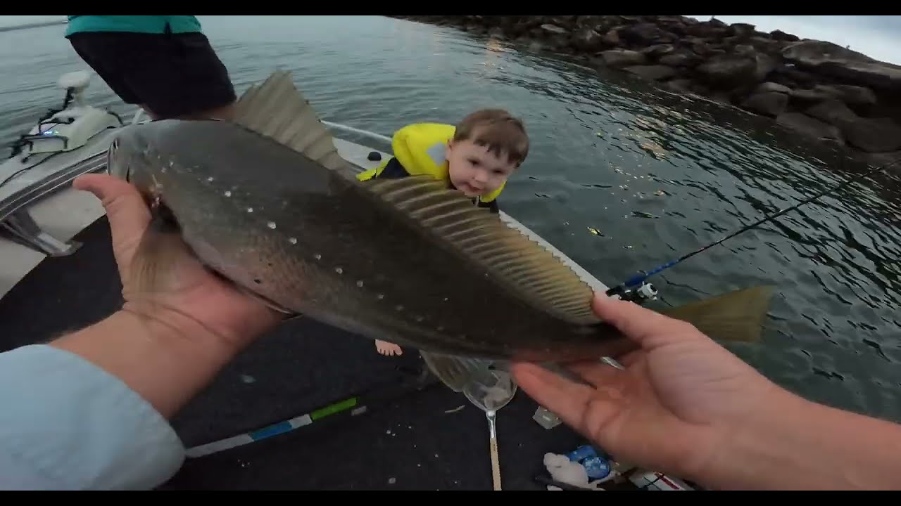 Start them young - Jew fishing with my son and mate