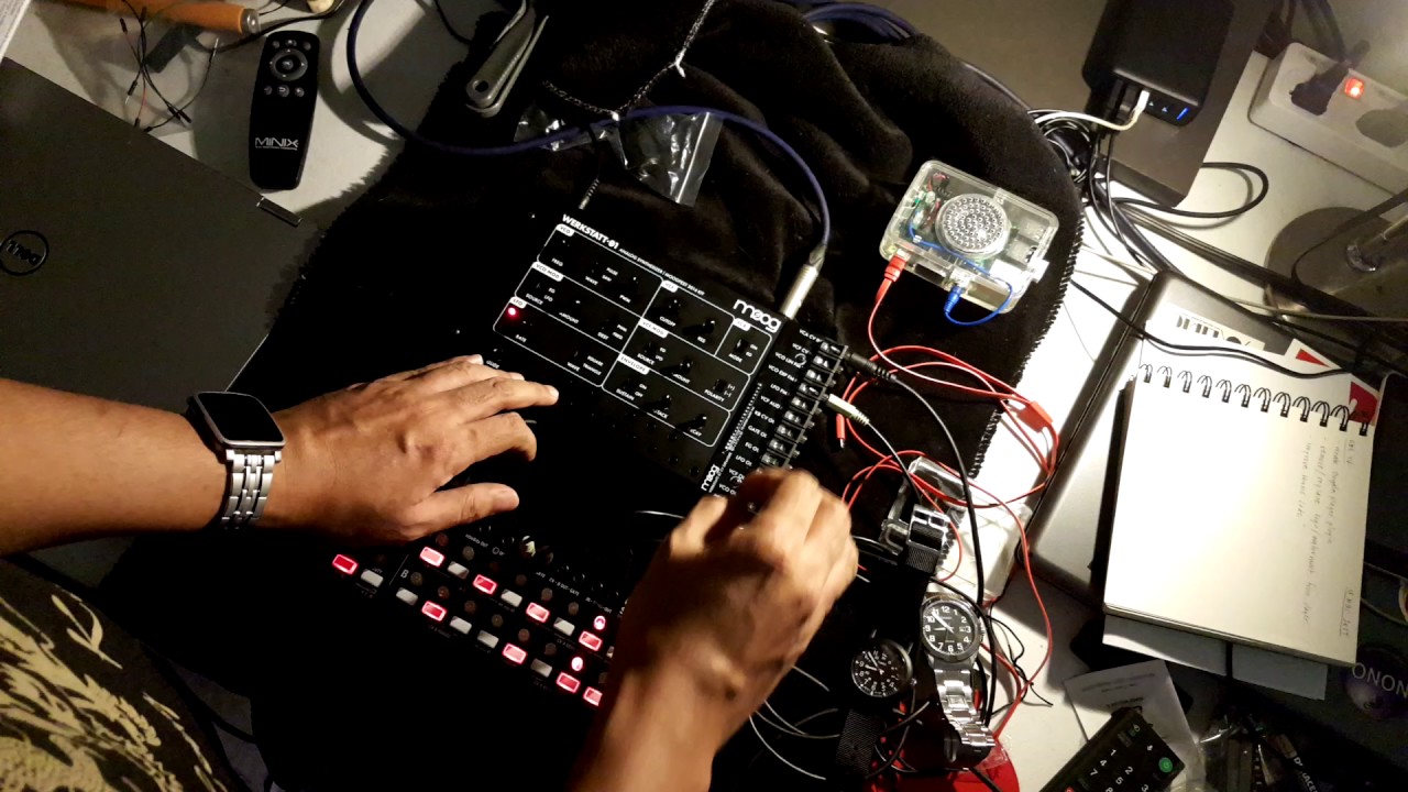Moog Werkstatt-01 with CV Expander and the Korg SQ-1