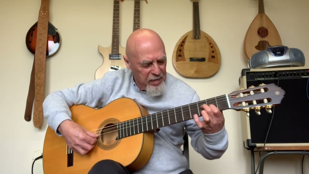 BIRDSONG. Fingerstyle, Classical, Flamenco Guitar. Pete Carter.