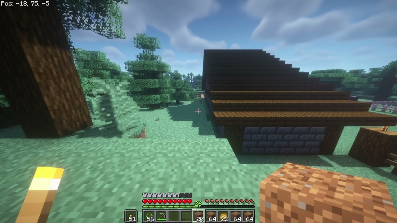 MINECRAFT | EPISODE #82 | EXPANDING THE LAND!!