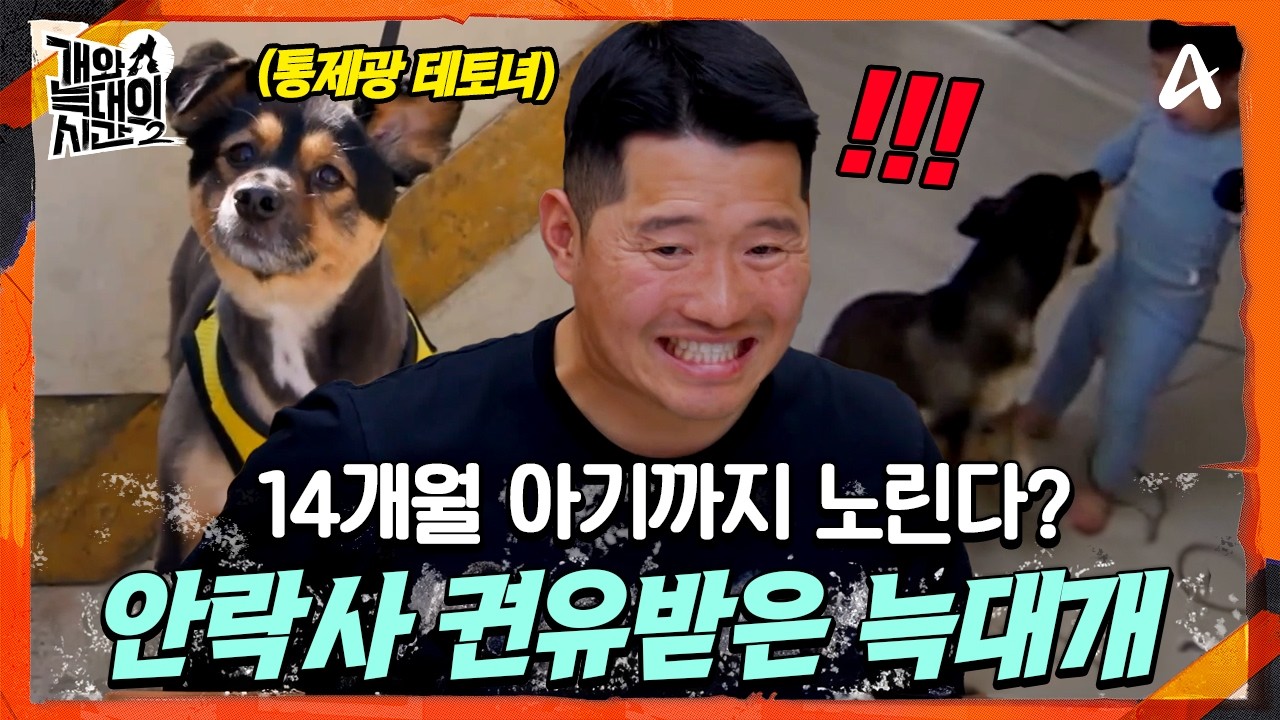 [#개와늑대의시간2] 늑대 '다온'이 14개월 어린 아기에게 다가간다! 안락사까지 권유 받은 늑대개!? 과연 늑대개 입질의 원인은?🐕&zwj;🦺😣 | 개와 늑대의 시간2 14회