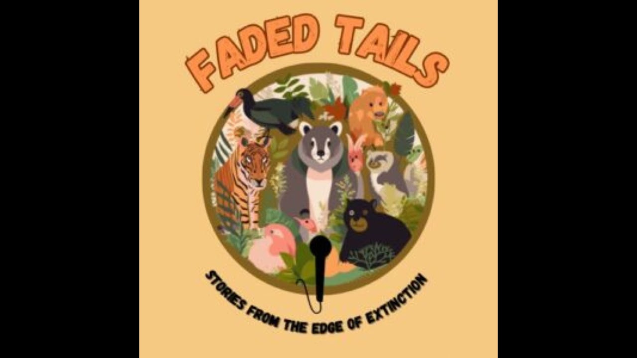 Faded Tails - S4 Ep. 2: The Cassowary: the Bird That Refused to Disappear