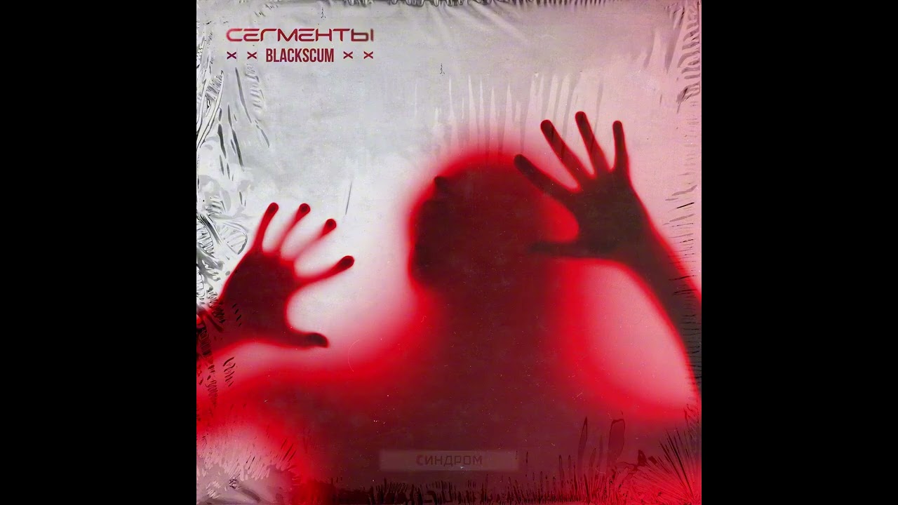 СЕГМЕНТЫ, BLACK SCUM - Синдром
