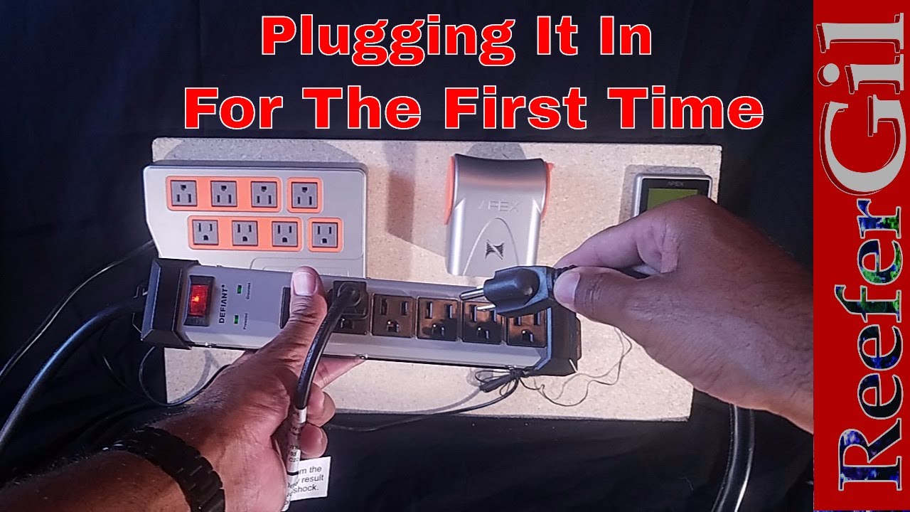 How To Set Up Neptune Systems Apex 2016: Saltwater Aquarium