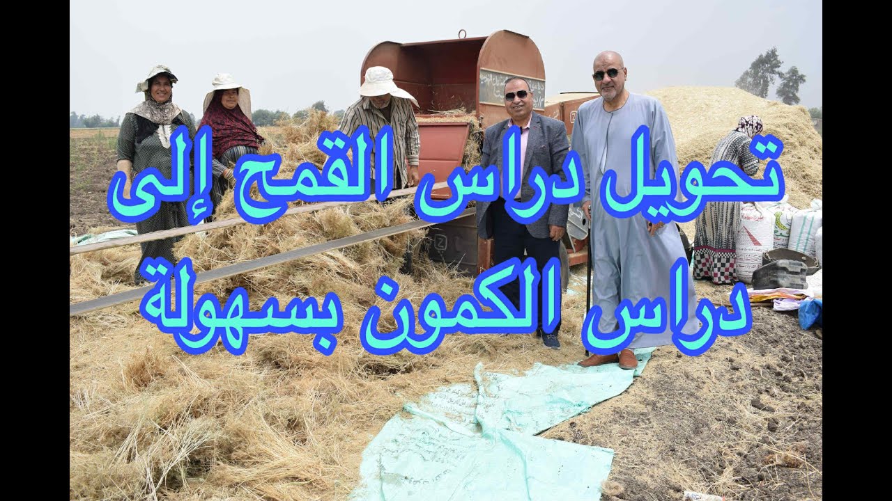 كيف تحول دراس القمح إلى دراس لمحصول الكمون؟