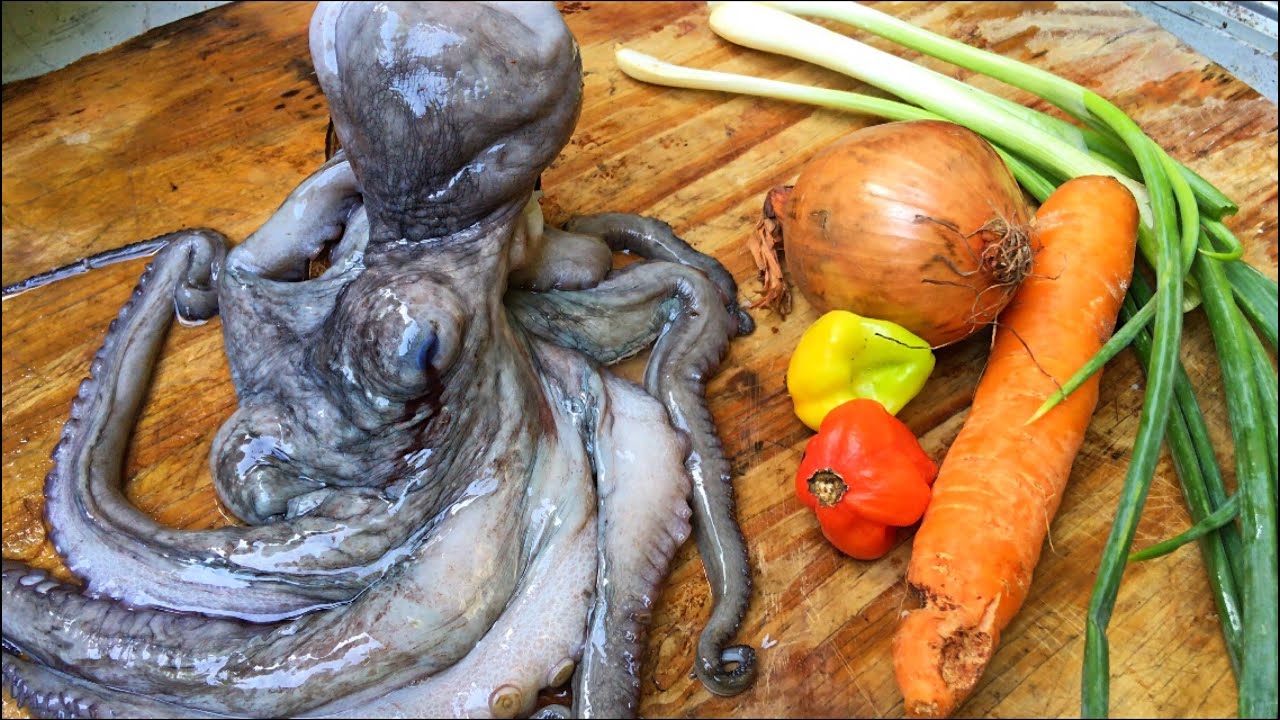 COOK WITH ME YUMMY OCTOPUS STEW RECIPE VERY DELICIOUS | EAT OR PASS?