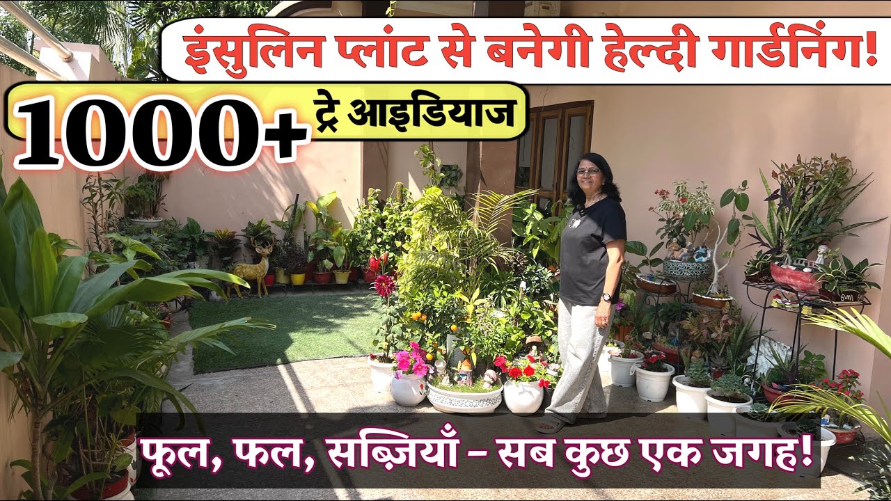 1000+ ट्रे Garden आइडियाज – इंसुलिन Plant, फूल,फल और Vegetable के साथ बेस्ट Indoor और Outdoor गार्डन