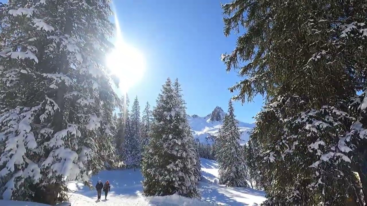 Tannenboden, Switzerland