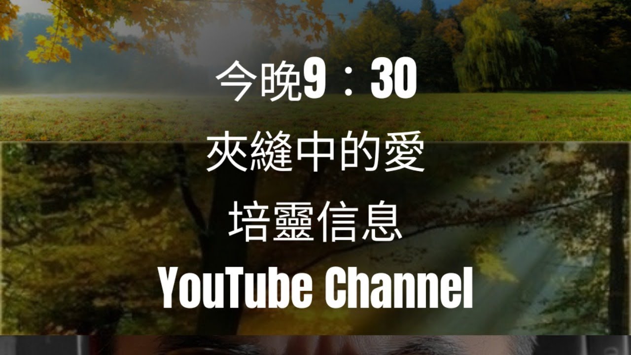 網上培靈信息（三）：夾縫中的愛