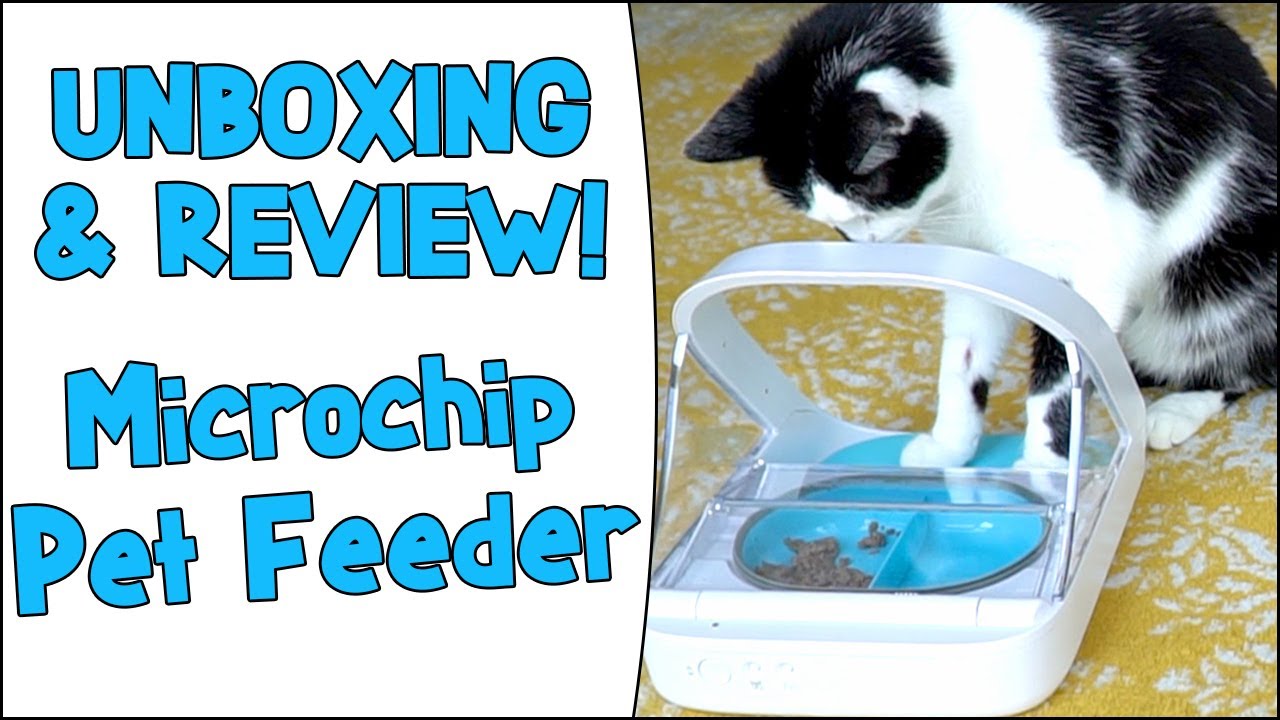 Automatic Pet Feeder: Unboxing & Review