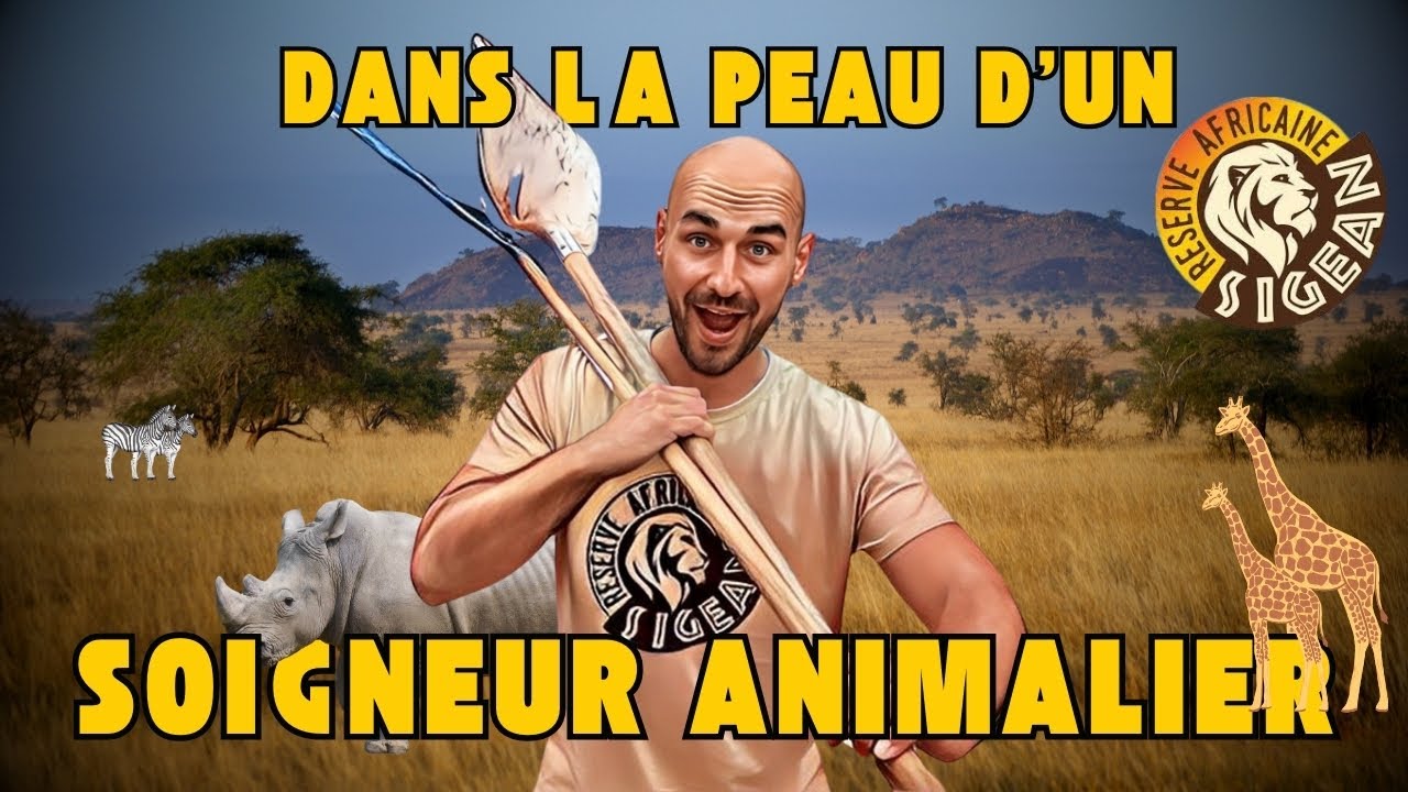 UNE JOURNÉE DANS LA VIE D'UN SOIGNEUR ANIMALIER : IMMERSION À LA RÉSERVE AFRICAINE DE SIGEAN