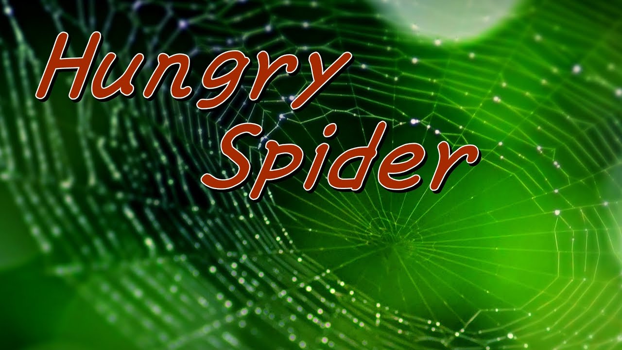 Hungry Spider 槇原敬之 歌詞付