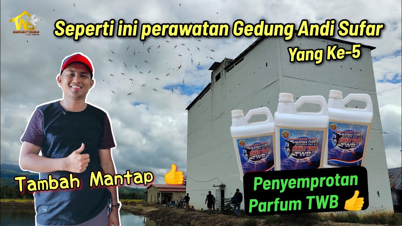 Seperti ini perawatan Gedung Andi sufar yang ke-5. Tambah mantap pakai parfum TWB👍.