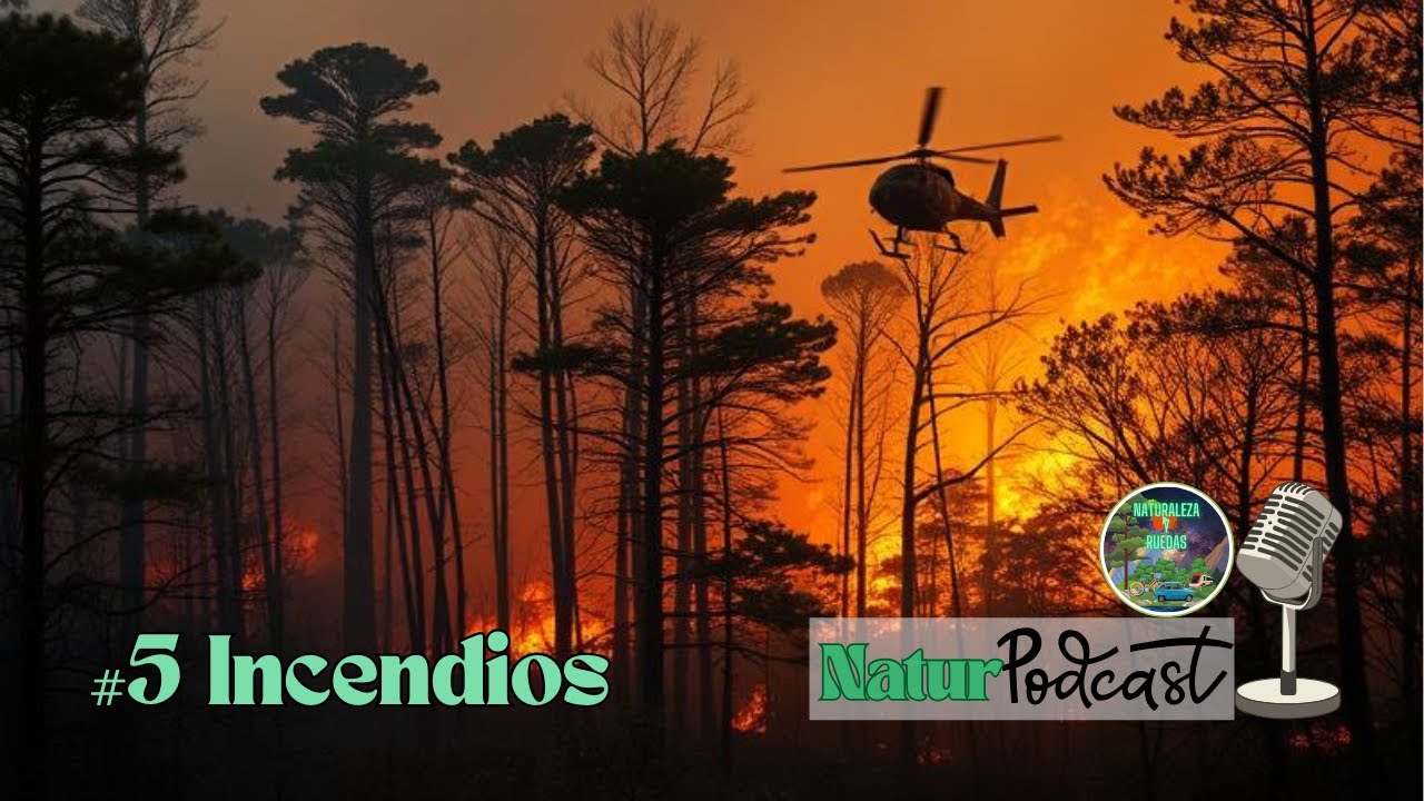 🔥 INCENDIOS EN ESPAÑA: El Negocio del Fuego y Cómo Evitarlo 🚨🌲 NATURPODCAST #5