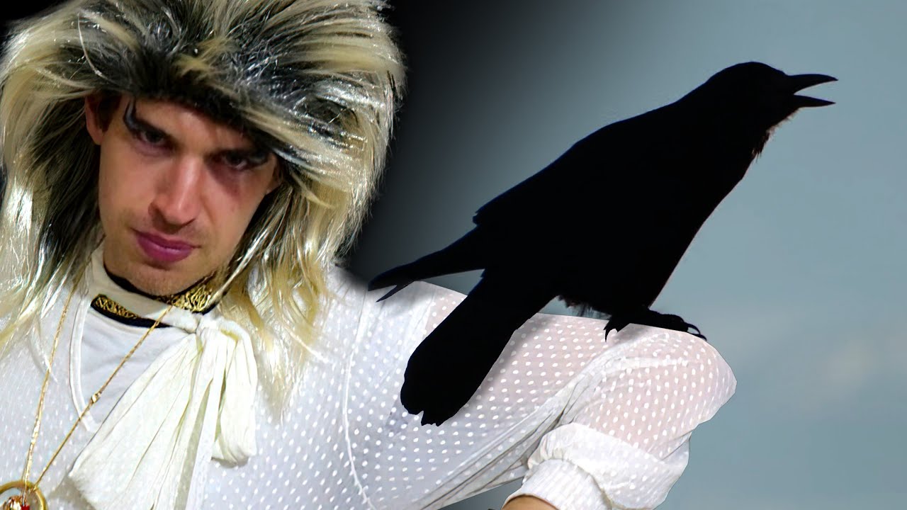 Birds - All your questions Answered by Uncle AI