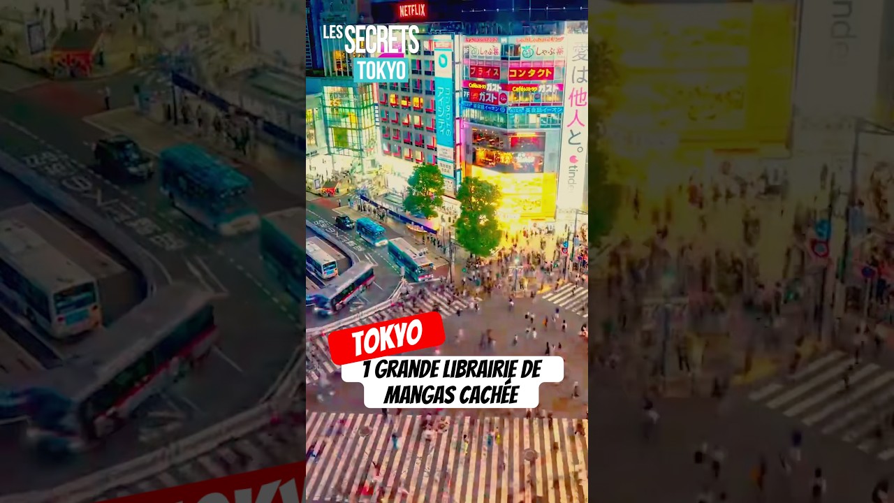 Le + grand magasin de mangas caché en plein cœur de 
