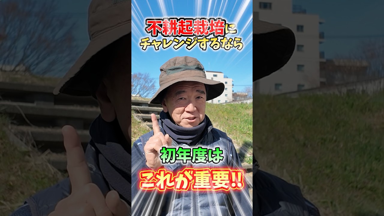 家庭菜園や農園の野菜栽培で不耕起栽培がうまくいくコツ！数年単位の改善方法と野菜の育て方！【農家直伝】#shorts