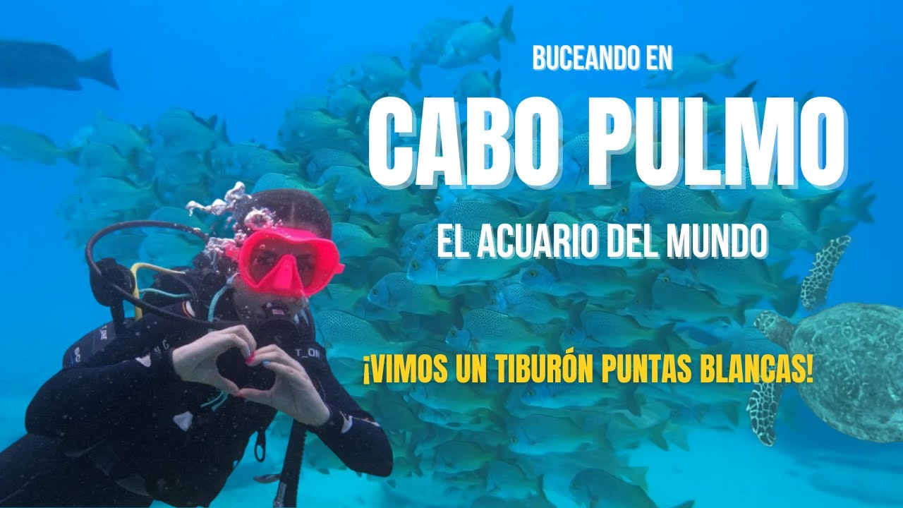 EL MEJOR LUGAR para bucear en M&eacute;xico: CABO PULMO, el Acuario del Mundo 🐠🦈|Ep. 4|May en modo avi&oacute;n ✈️