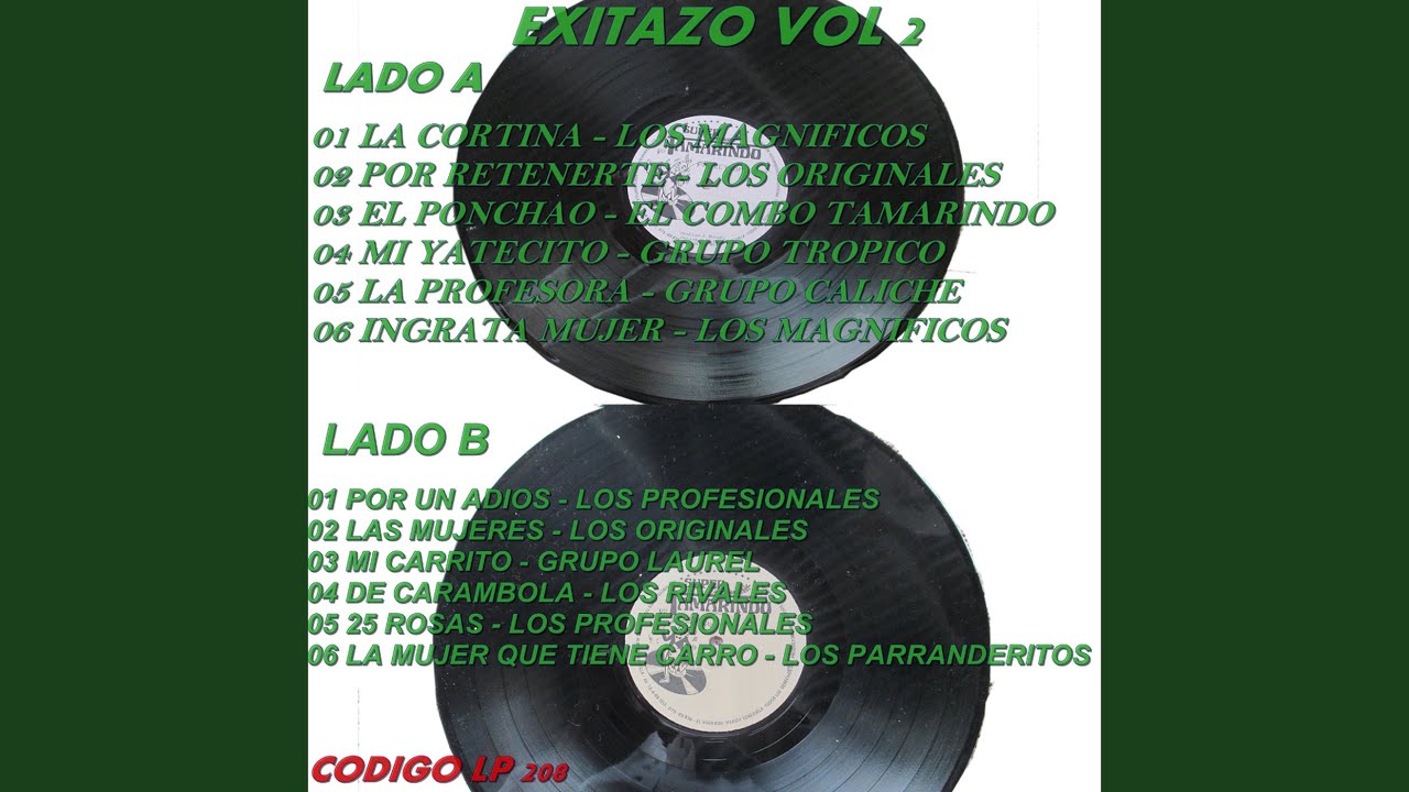 Por Un Adios - Los Profesionales