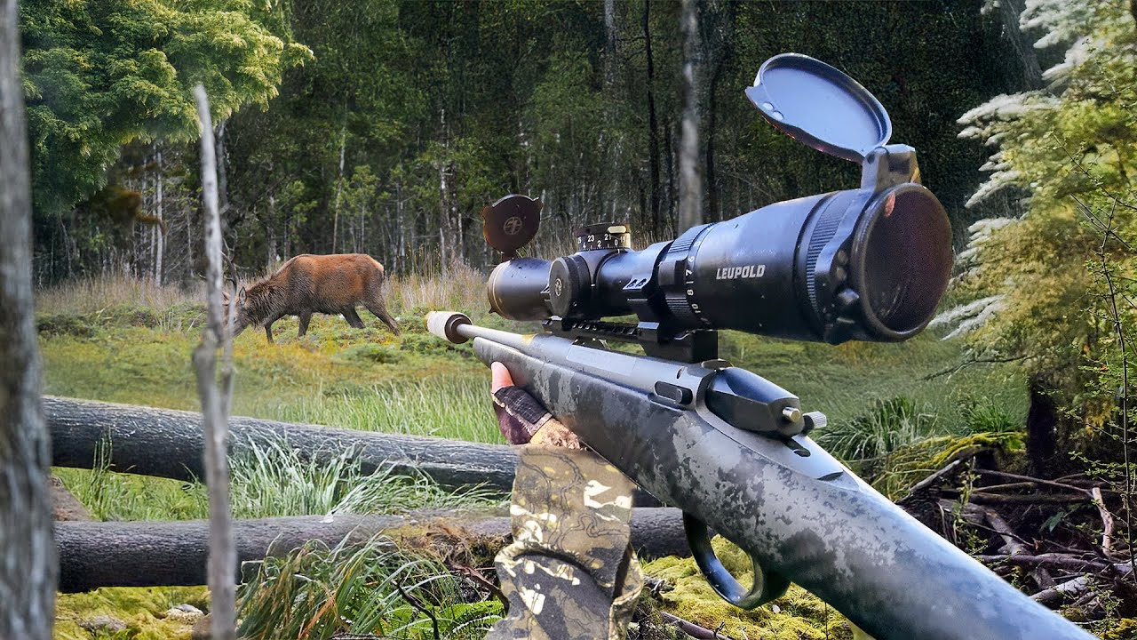 Ambush Hunting Deer in the Wilderness (Solo 8 Day Hunt)