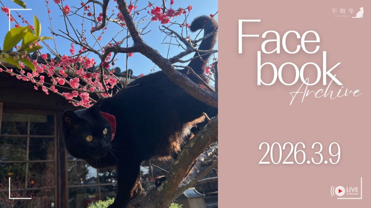 【ミニ法話切り抜き】不徹寺 朝ライブ 2026.3.9｜駆け込み寺の庵主さん【骨折中】