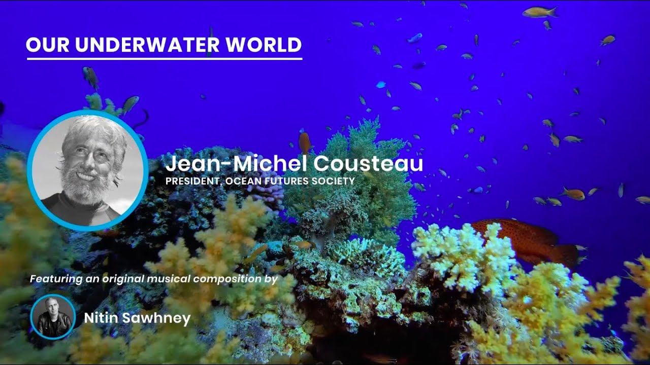 Our Underwater World | UN World Oceans Day 2021