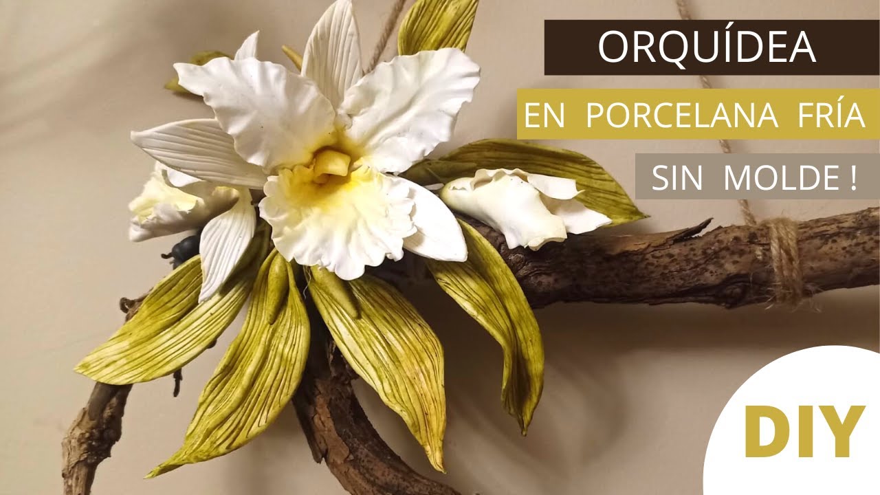 😃 Como hacer una ORQUÍDEA de PORCELANA FRÍA, sin moldes!!